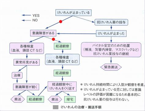 Image result for University Graduation Program Sample