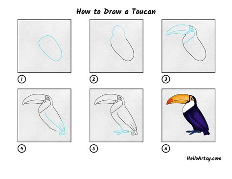 How to Draw a Toucan - HelloArtsy