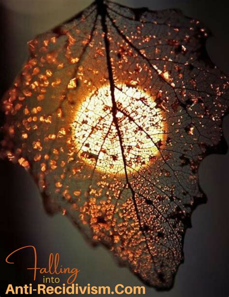 Martin Bean, Social Justice Advocate, Contributing Writer on LinkedIn: Anti-Recidivism. Com, engaging "Virtual Behavioral Peer Support Coach…