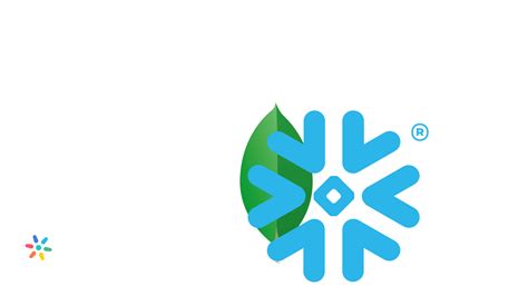 Image result for Linux Snowflake