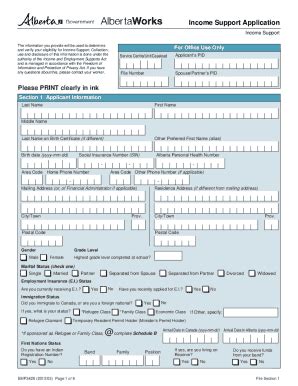 Income Support Application - Fill and Sign Printable Template Online