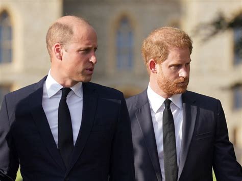 Prince William and Prince Harry’s feud might not be sensible – but many ...