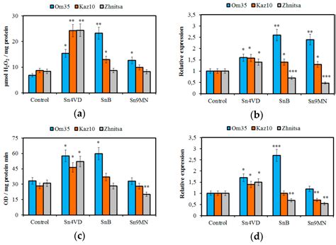 Necrotrophic Effectors SnTox from the Stagonospora nodorum (Berk ...
