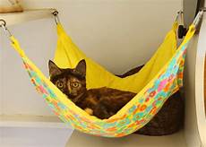 Cat Hammock Ideas by 20 Cool Cat Hammock Design Ideas Cat Hammock Ideas