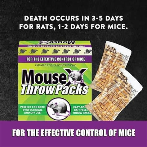 MouseX Throw Packs- for All Species of Rats Mice India | Ubuy