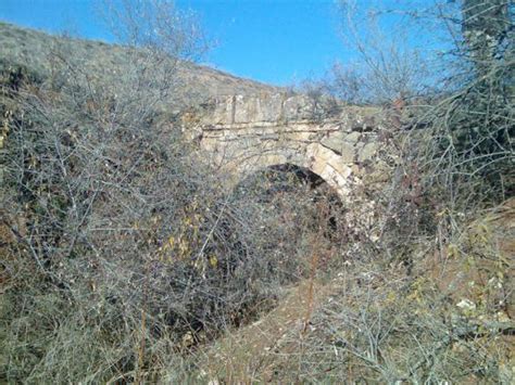 Ankara, Kazan İlçesi, Orhaniye Köyü - agaclar.net