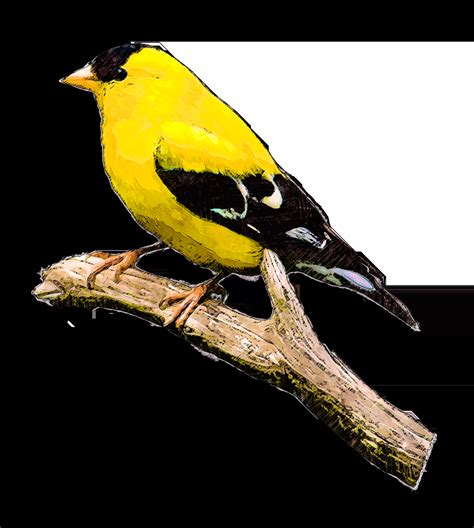 Feathered Friend Wild Bird Food