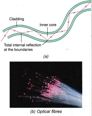 Image result for Total Internal Reflection Prism