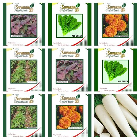 Suvarna Combo Marigold Orange,Palak All Green,Radish Pusa Chetki ...