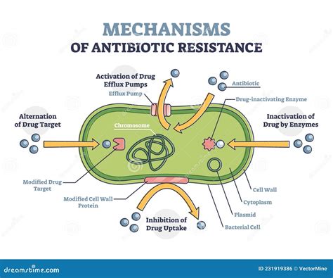 Mechanism Of Resistance To Antibiotics