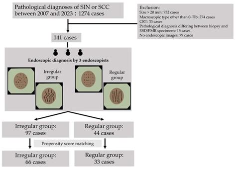 Differences in the Microvascular Arrangement Lead to Improved Clinical ...