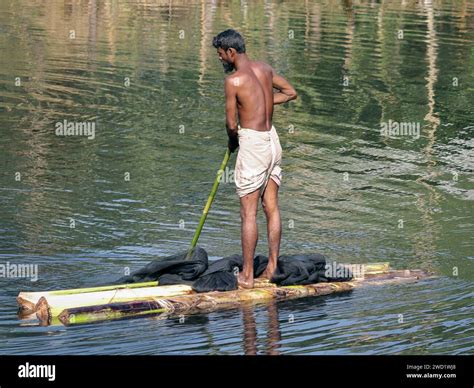 Straggle Person 的图像结果
