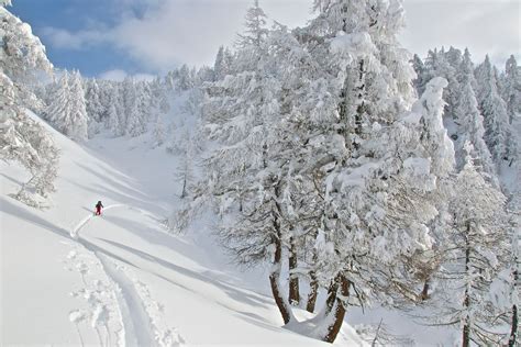 Snow Path 的图像结果