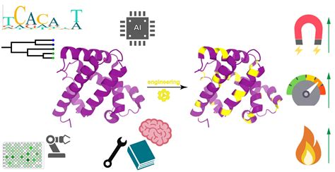 Protein Engineering for Industrial Biocatalysis: Principles, Approaches ...