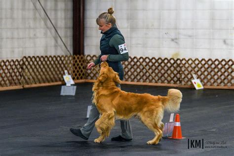 Rally Obedience - Novice, 129 Copper Road, Whitehorse, YT, Canada ...