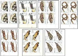 Buy Aranyak Hobby® Cambodia ex Rare 7 Different Block of 4 Stamps ...