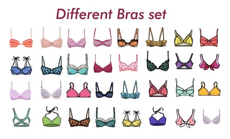 Premium Vector | Women's underwear different Types of bras Set bras set ...
