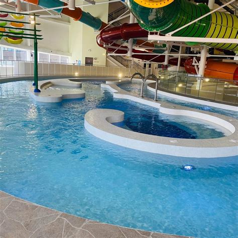 Swimming Lessons 的图像结果