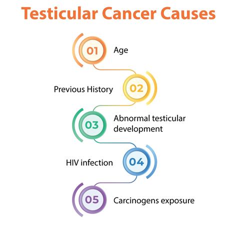 Testicular Cancer Growth at Lucille Moore blog