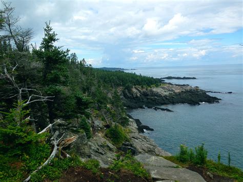 Quoddy Head State Park Trail, Maine