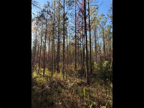 Oktibbeha 37.83 | Oktibbeha County | Sturgis, MS