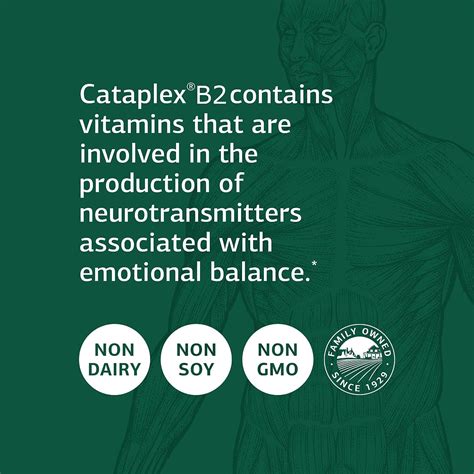 Standard Process Cataplex B2 - Whole Food Nervous System & Brain Support - 360 Tablets | Buy Now ...