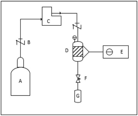 Technical and Economic Evaluation of Bioactive Compounds from Schinus ...