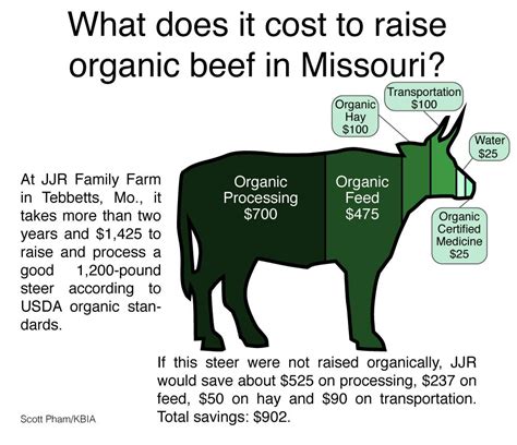 Can you make any money raising organic beef in Missouri? [infographic ...