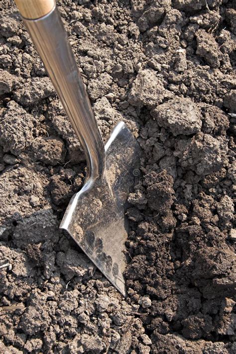 Digging 的图像结果