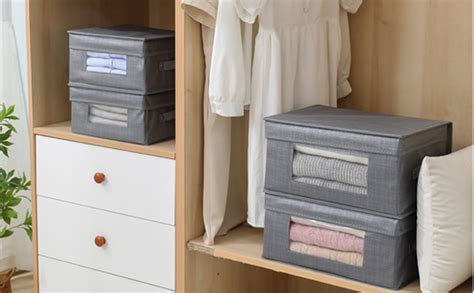 HomeStorie Clear Vision Cloth Storage Box Closet Organizer, Pack of 1 ...