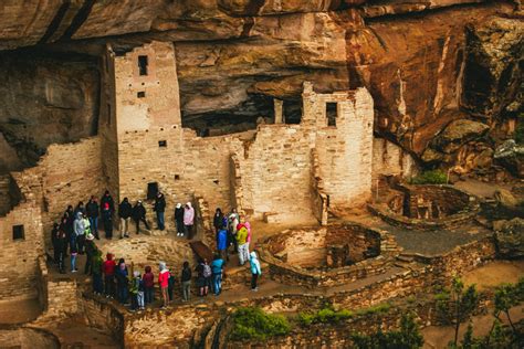 What to Expect on a Premium Mesa Verde Cliff Palace Tour | Mild to Wild