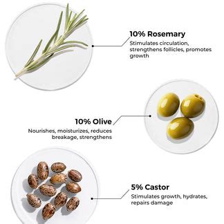 Brillare Rosemary Hair Growth Oil with Rosemary Shampoo | For Faster ...