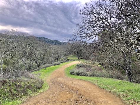 A quick hike at Almaden Quicksilver County Park before the storm brews ...