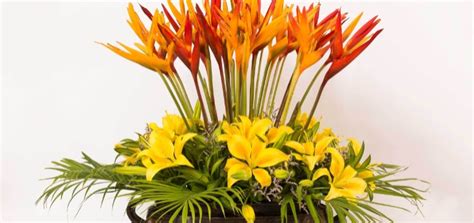 Here’s How Flowers Can Complement Any Occasion in the Garden City Bangalore