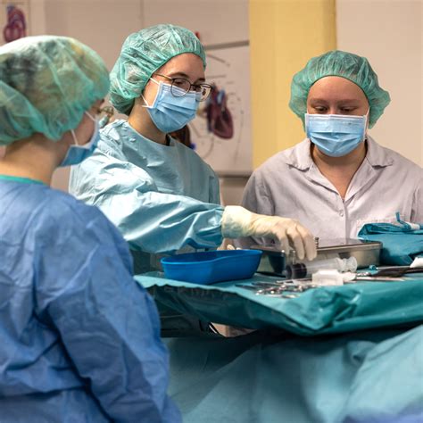 Physician Assistant (Bachelor of Science) | HFU - Hochschule Furtwangen