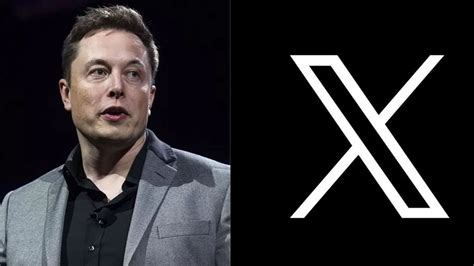 People Decide The Narrative On X: Elon Musk Responds To Peter Navarro's ...