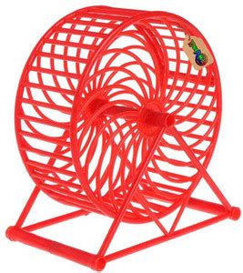 DreamAuro Jumbo Running cum Jogging cum Exercise Wheel For Hamster ...