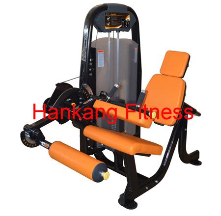Gym Workout Equipment 的图像结果