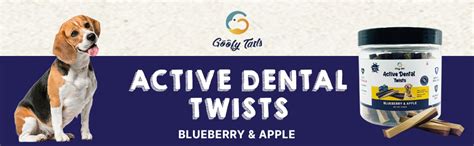 Goofy Tails Active Blueberry and Apple Dental Stick 220g, Dog Treats ...