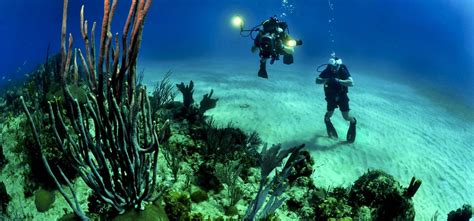 Man Travel Deep Into Ocean To Find Plastic: Scientist Dives 10,000 ...