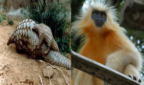 Some unseen pics of Animals - India TV Hindi