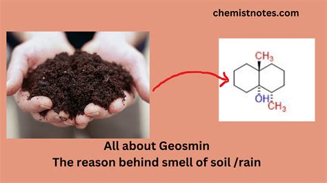 Geosmin: All about the Earthy Smell - Chemistry Notes