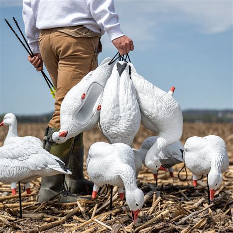 DB Snow Goose Full Bodies - Geese Decoys | Dive Bomb Industries
