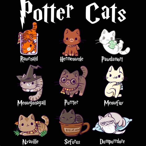 Potter Cats Harry Pawter Kitten Digitals Cat Lover Cat | Etsy