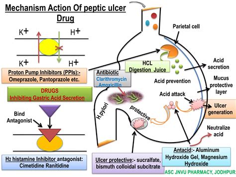Drug acting on digestive system | PPTX