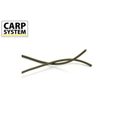 Carp System