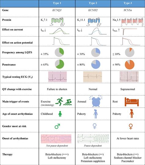 Diagnosis, management and therapeutic strategies for congenital long QT ...