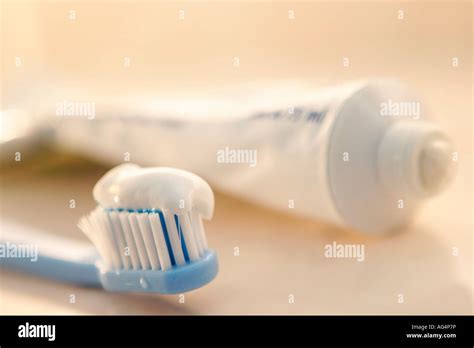 Toothbrush and Toothpaste 的图像结果
