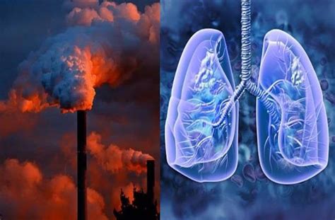 World Lung Cancer Day: प्रदूषण है फेफड़ों का दुश्मन, खुद को और दूसरों ...