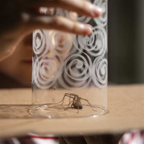 Free Wooden Roses at Lowe's on Valentine's Day 2026 - Dengarden